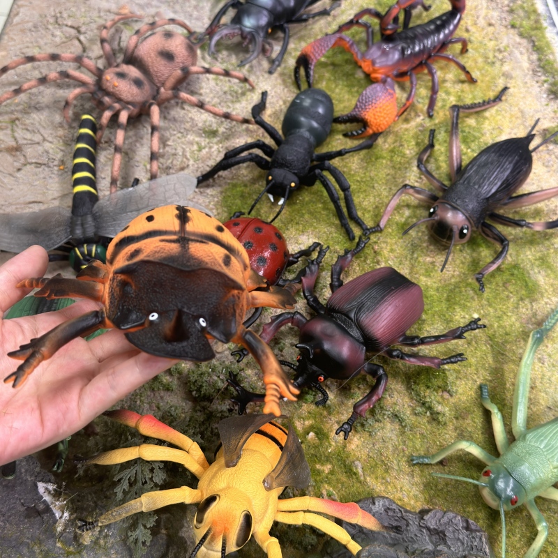 Model Kit Lizard - Wild Insect Animals Model Set Butterfly