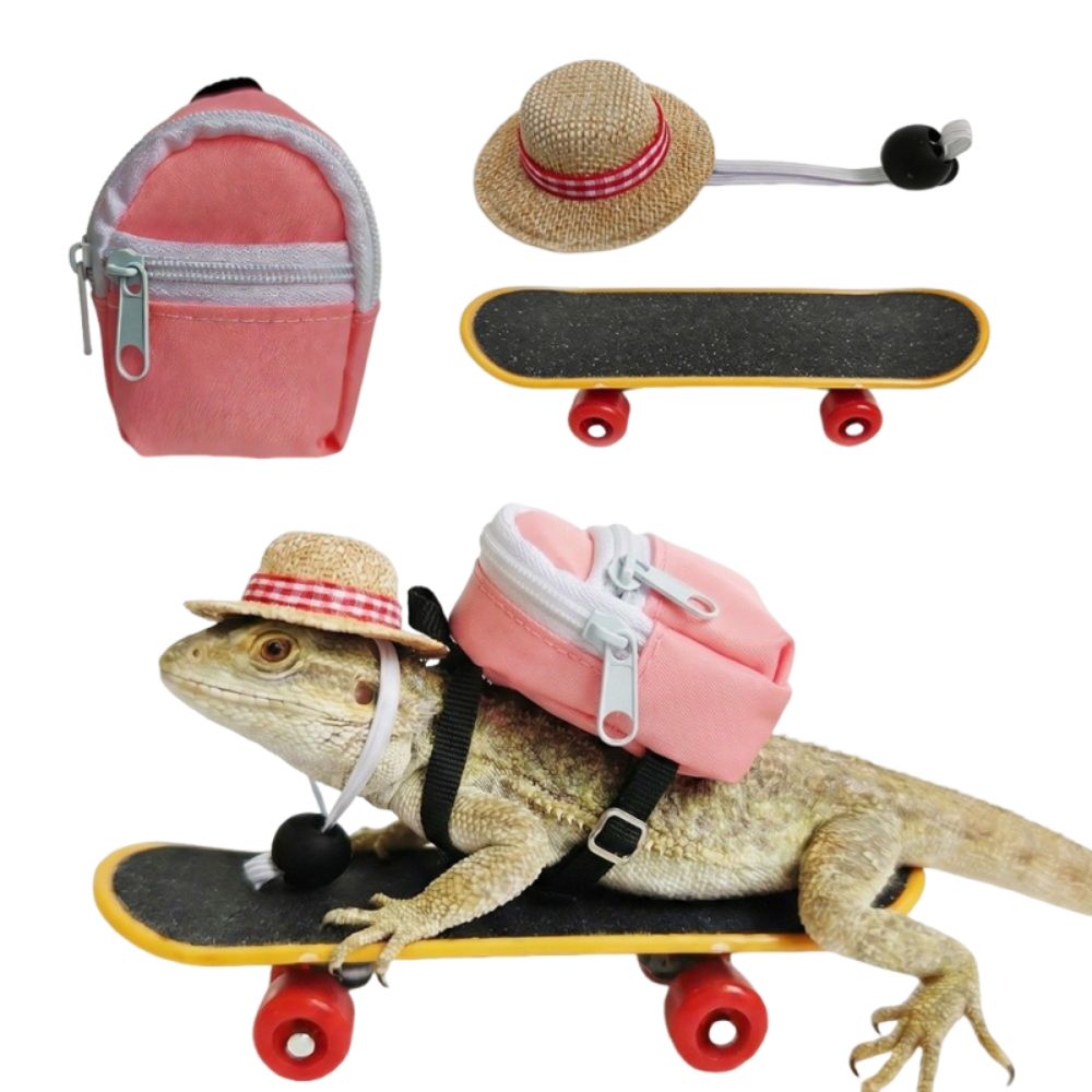 Creative Pet Skateboard Toys S - Model Kit Lizard ulasan dan harga