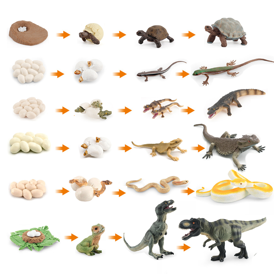 Simulation Dinosaur Lizard Tur - Model Kit Lizard ulasan dan harga