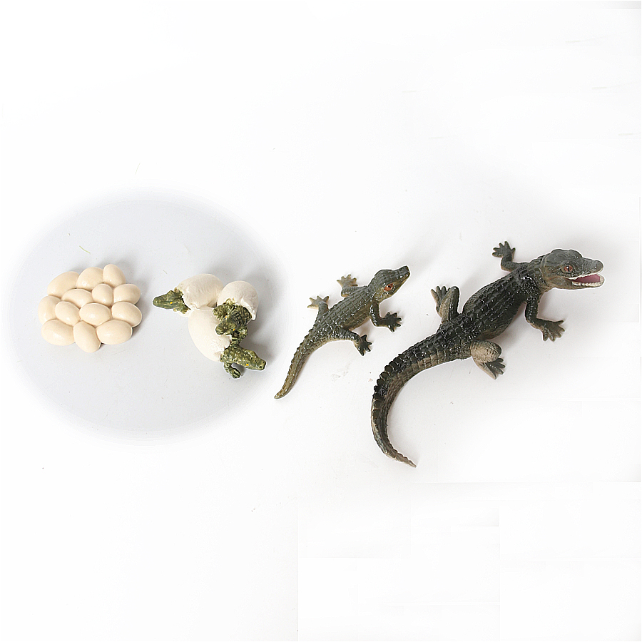 Simulation Dinosaur Lizard Tur - Model Kit Lizard ulasan dan harga