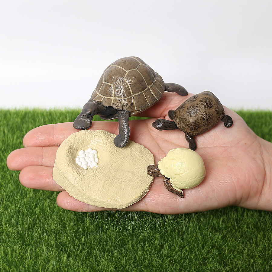 Realistic Reptile Growth Cycle - Model Kit Lizard ulasan dan harga