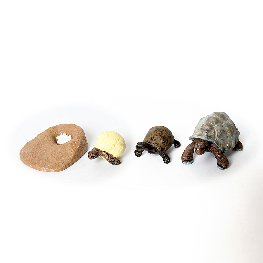 Realistic Reptile Growth Cycle - Model Kit Lizard ulasan dan harga