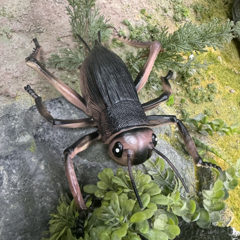 Wild Insect Animals Model Set  - Model Kit Lizard ulasan dan harga