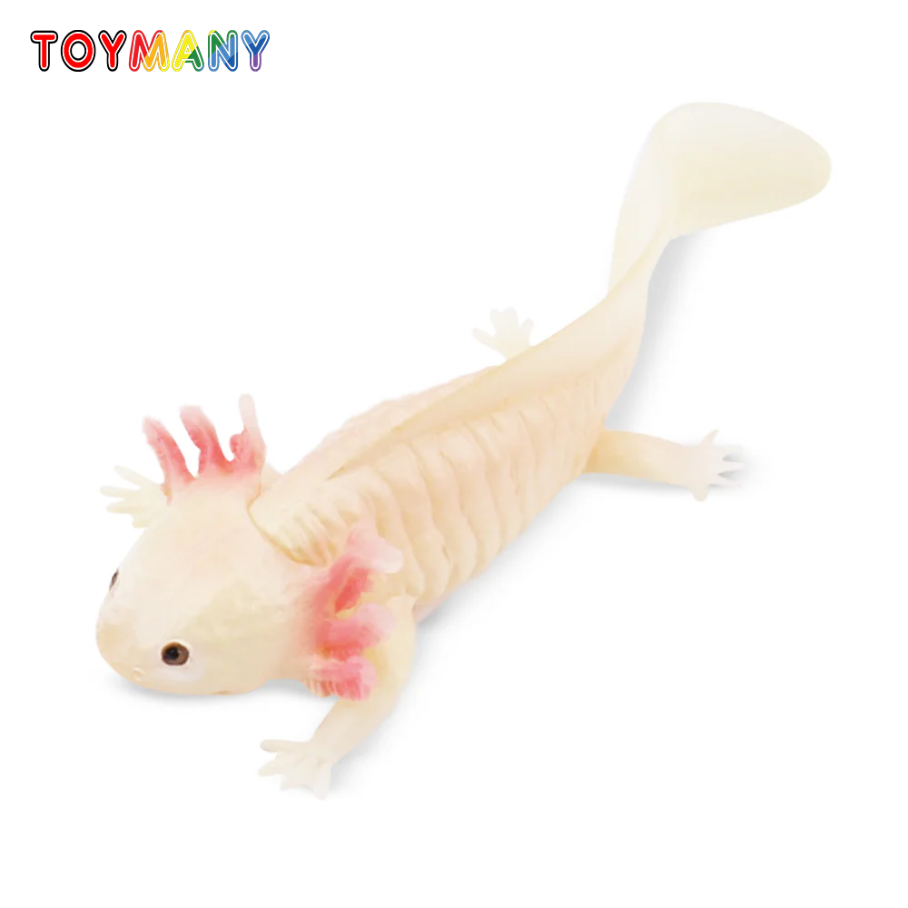 Toymany Simulation Axolotl Sal - Model Kit Lizard ulasan dan harga