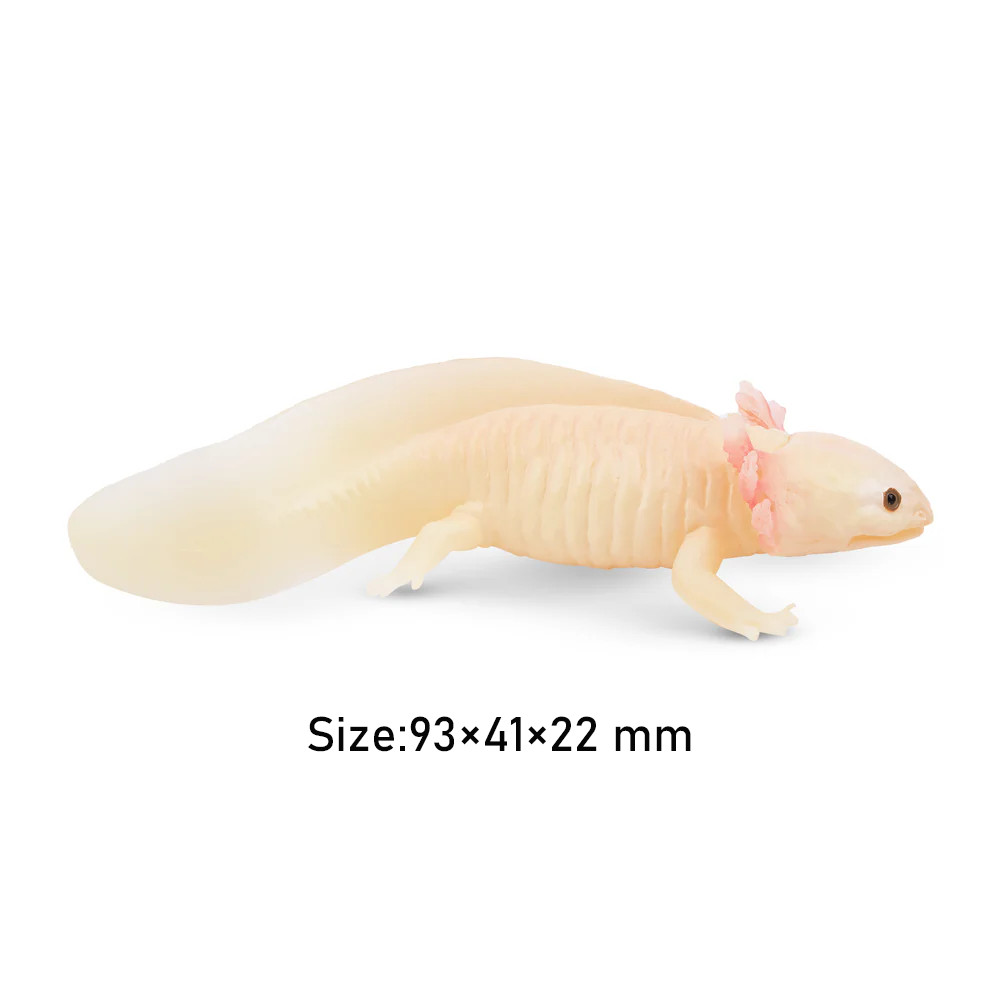 Toymany Simulation Axolotl Sal - Model Kit Lizard ulasan dan harga