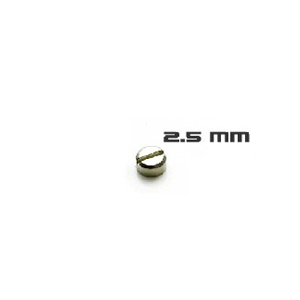 30pcs Armored Screws Model Sup - Gundam Model Mg ulasan dan harga